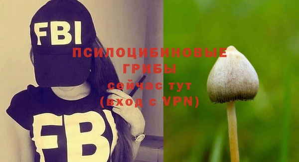 прущая мука Мегион