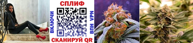 Конопля Bruce Banner  Калининск 